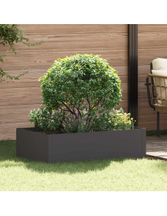 Bordura per Prato 100 x 60 x 35 cm Acciaio Nero
