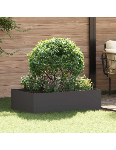 Bordura per Prato 100 x 60 x 35 cm Acciaio Nero