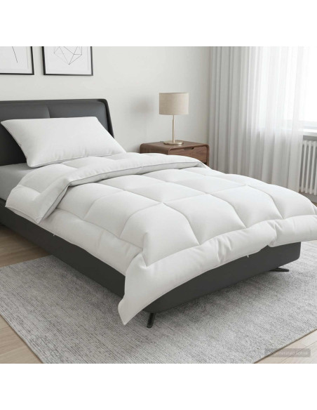 Set di piumone e cuscini 2 pz 137x200 cm 4 stagioni 220 GSM