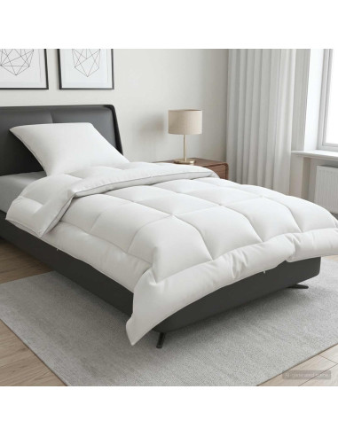 Set di piumone e cuscini 2 pz 135x200 cm 4 stagioni 300 GSM