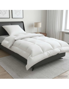 Set di piumone e cuscini 2 pz 137x200 cm 4 stagioni 220 GSM