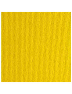 CF10 LR CEDRO-70X100