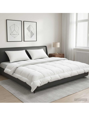 Set di piumone e cuscini 3 pz 220x260 cm Estate 140 GSM Lana