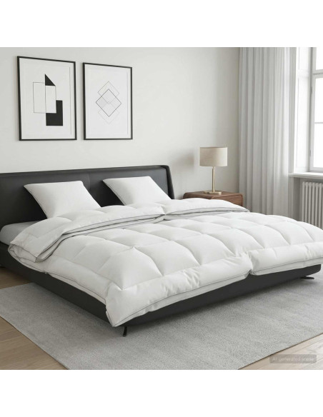 Set di piumone e cuscini 3 pz 200x200 cm 4 stagioni 140+220 GSM