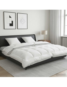 Set di piumone e cuscini 3 pz 200x200 cm 4 stagioni 140+220 GSM