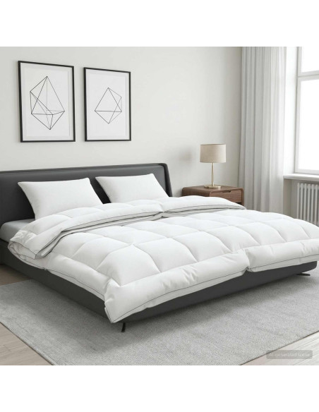 Set di piumone e cuscini 3 pz 200x200 cm 4 stagioni 140+220 GSM