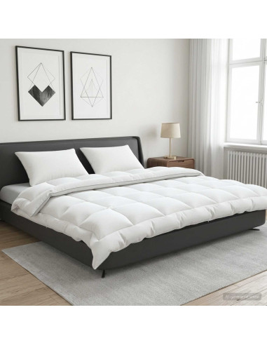 Set di piumone e cuscini 3 pz 200x200 cm 4 stagioni 220 GSM