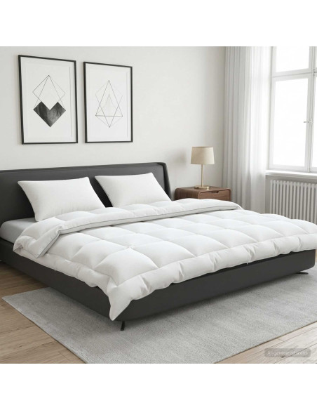 Set di piumone e cuscini 3 pz 200x200 cm 4 stagioni 220 GSM
