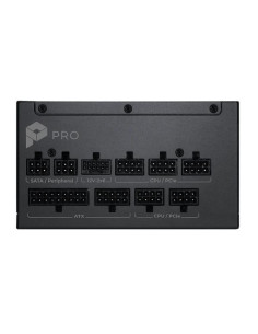 PRO A1000PL PCIE5 2
