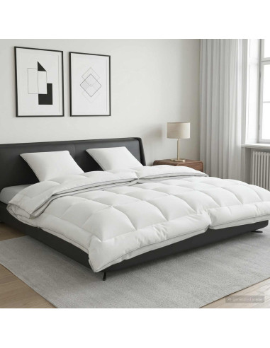 Set di piumone e cuscini 3 pz 200x220 cm 4 stagioni 140+220 GSM