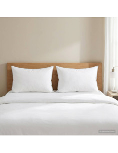 Cuscino 2 pz 40 x 60 cm Lana Australiana Bianco