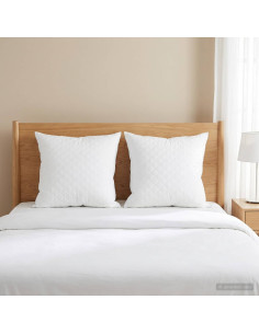 Cuscino FULDA 2 pz 80 x 80 cm 100% piuma d’oca e piumino Bianco
