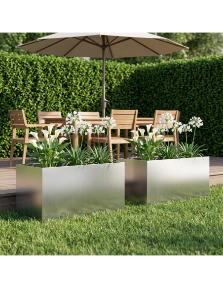 Vaso da giardino 2 pz Argento 100 x 50 x 50 cm Acciaio Inox