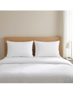 Cuscino FULDA 2 pz 60 x 70 cm 100% piuma d’oca e piumino Bianco