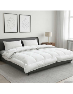 Piumone TRIER 240x260cm 4 stagioni 140+220GSM Bianco