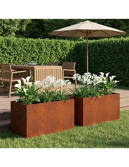 Vaso da giardino 2 pz Ruggine 100 x 50 x 50 cm Acciaio Corten