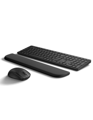 KIT MOUSE TASTIERA HP 495C PALMREST