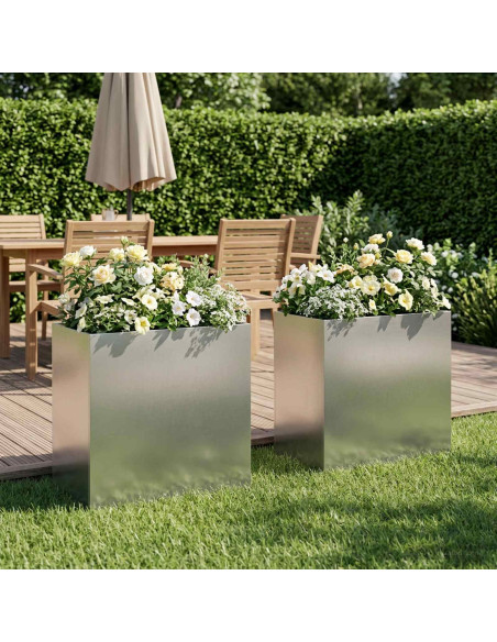 Vaso da giardino 2 pz Argento 50 x 30 x 50 cm Acciaio Inox