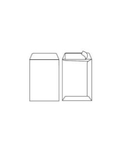 CF100 BUSTE SACCO C/STRIP 25X35.3CM
