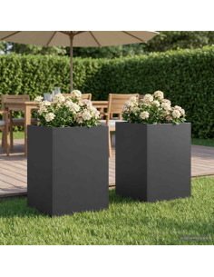 Vaso da giardino 2 pz Nero 50 x 50 x 75 cm