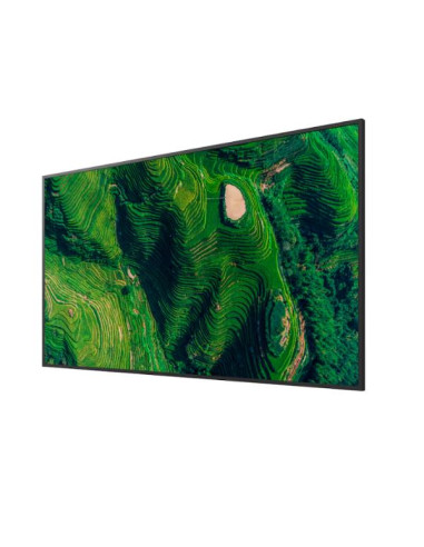 50  PRO BRAVIA 500NIT DBNG 24/7