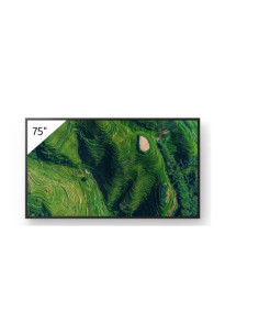 55  PRO BRAVIA 500NIT DBNG 24/7