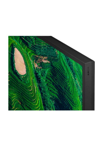 55  PRO BRAVIA 500NIT DBNG 24/7
