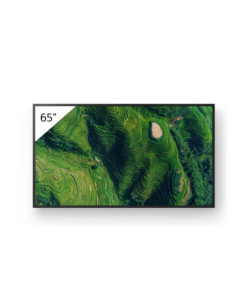 65  PRO BRAVIA 500NIT DBNG 24/7