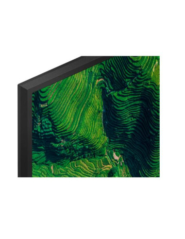 65  PRO BRAVIA 500NIT DBNG 24/7