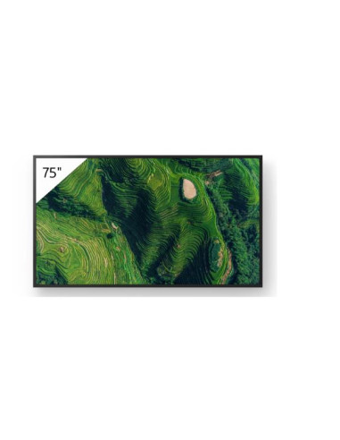43  PRO BRAVIA 500NIT DBNG 24/7