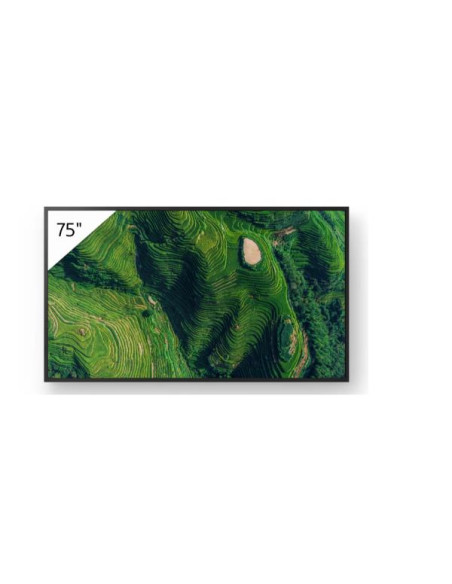 43  PRO BRAVIA 500NIT DBNG 24/7