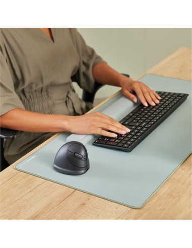 MOUSE ERGO BREYTA  L SINISTRO