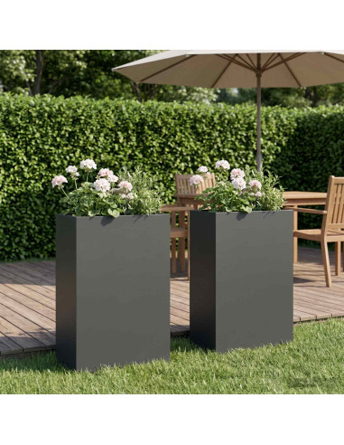 Vaso da giardino 2 pz Antracite 40 x 20 x 75 cm