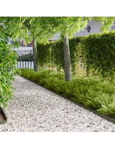 Bordura per Prato 20 pz 102 x 4 x 4 cm Acciaio Verde Oliva