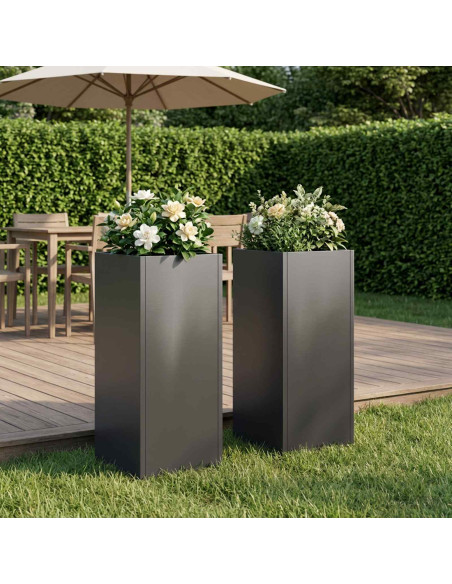 Vaso da giardino 2 pz Nero 20 x 20 x 50 cm