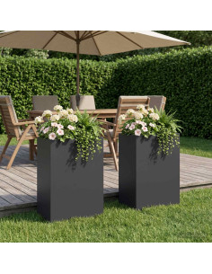 Vaso da giardino 2 pz Nero 50 x 40 x 75 cm