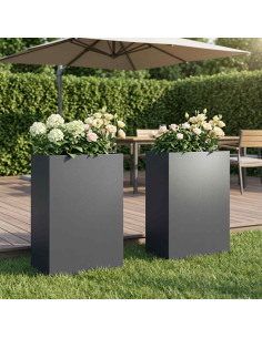 Vaso da giardino 2 pz Antracite 50 x 40 x 75 cm