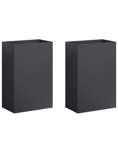 Vaso da giardino 2 pz Nero 50 x 40 x 75 cm