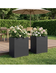Vaso da giardino 2 pz Nero 40 x 30 x 50 cm