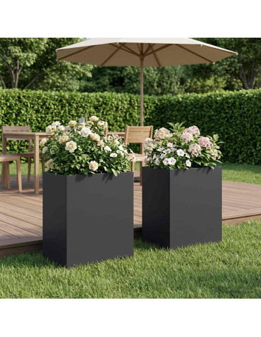 Vaso da giardino 2 pz Nero 40 x 30 x 50 cm