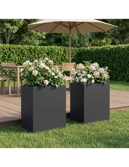 Vaso da giardino 2 pz Nero 40 x 30 x 50 cm