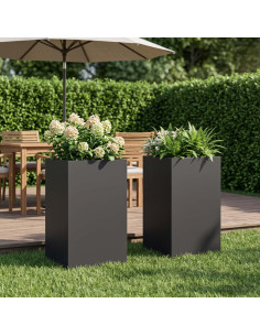 Vaso da giardino 2 pz Nero 30 x 30 x 40 cm