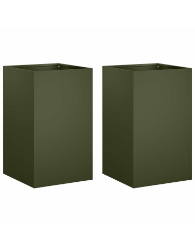 Vaso da giardino 2 pz Verde Oliva 30 x 30 x 40 cm