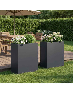 Vaso da giardino 2 pz Antracite 40 x 20 x 40 cm