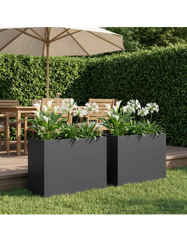 Vaso da giardino 2 pz Nero 60 x 30 x 50 cm