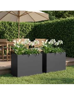 Vaso da giardino 2 pz Nero 60 x 30 x 40 cm