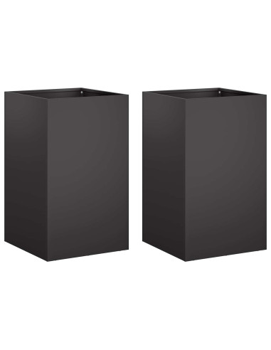 Vaso da giardino 2 pz Nero 30 x 30 x 40 cm
