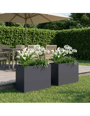 Vaso da giardino 2 pz Antracite 60 x 30 x 50 cm