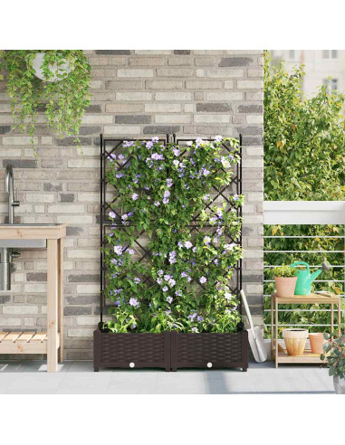 Vaso da giardino 2 pz Marrone 80 x 40 x 125,5 cm PP