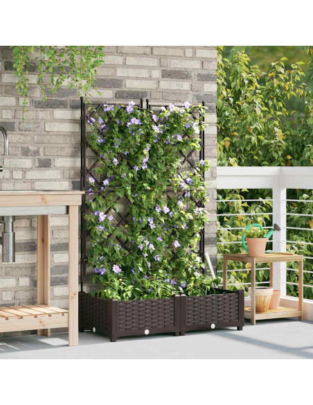 Vaso da giardino 2 pz Marrone 80 x 40 x 125,5 cm PP